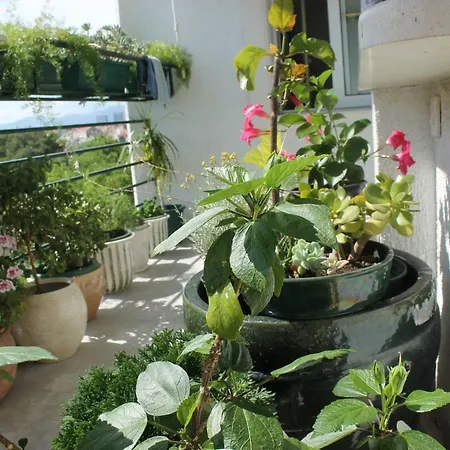 Bianca Apartman