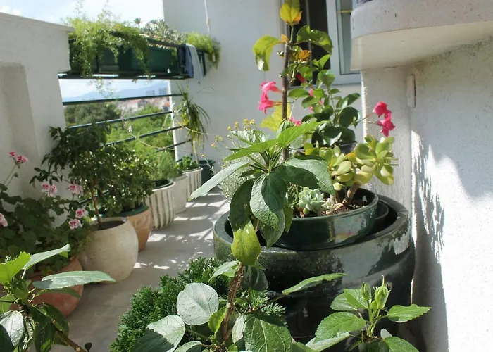 Bianca Apartamento